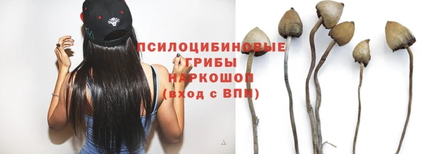СК Абаза
