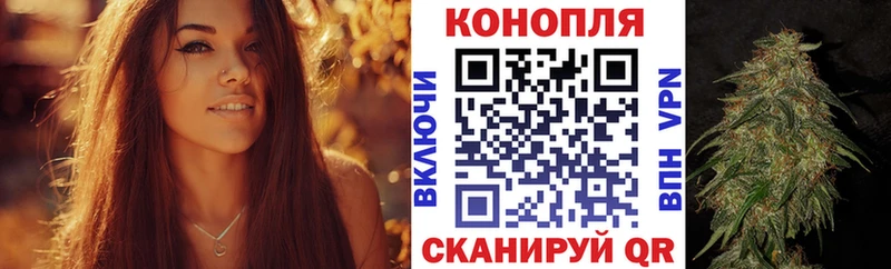 Канабис гибрид  закладка  Шумерля 